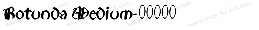 Rotunda Medium字体转换